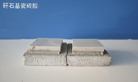 long8龙8 bd79c